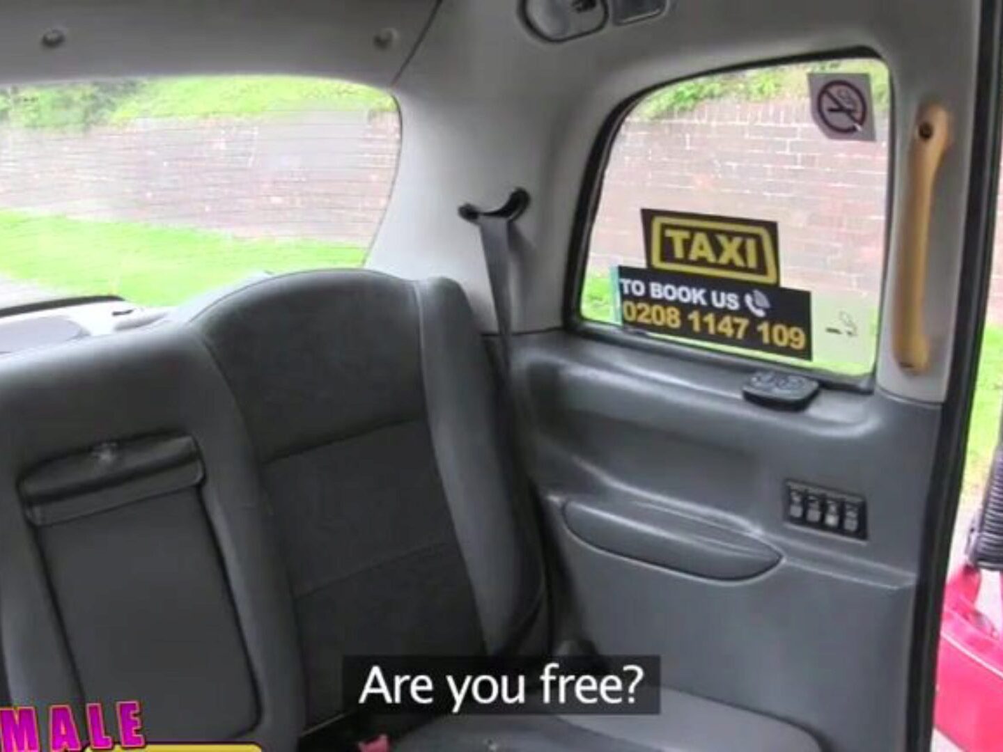 Female Fake Taxi afbeelding
