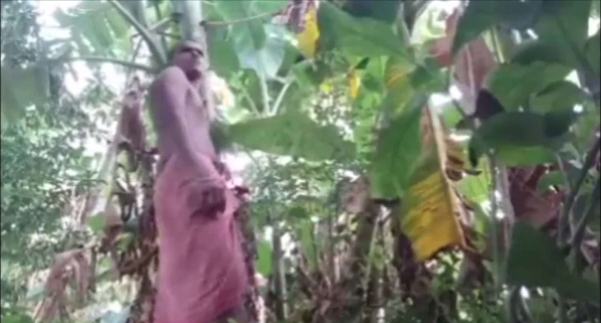 Bangladesh Forest Sex Video Hd - Bangla Free Sex Porn - XXX BULE